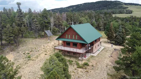 217 Greaves Lane