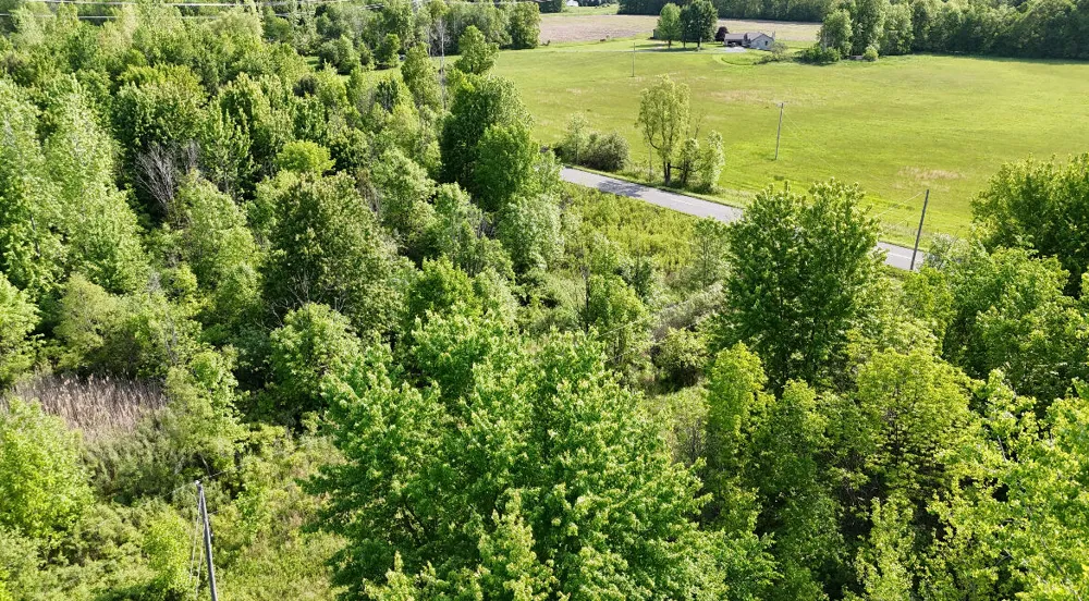 13027 Shaner Avenue NE Cedar Springs, MI 49319