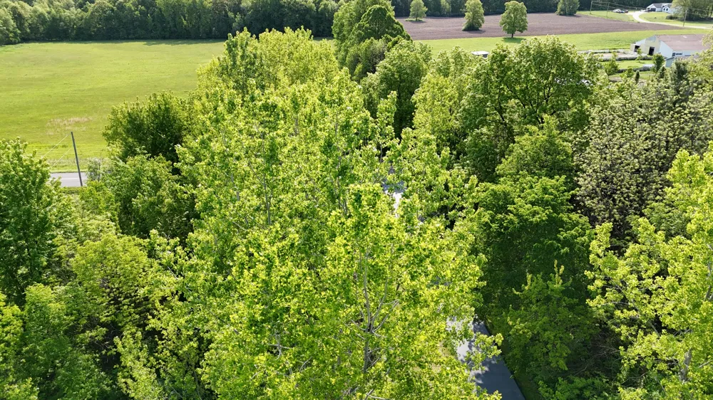 13027 Shaner Avenue NE Cedar Springs, MI 49319