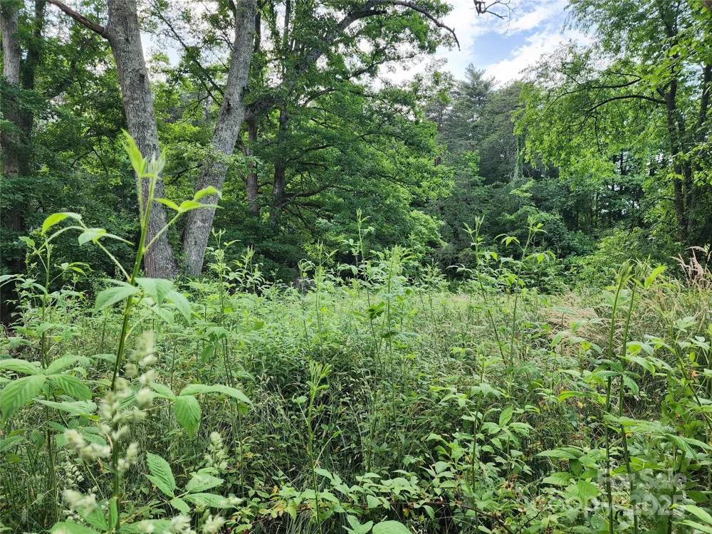 000 W US Highway 421 Highway Wilkesboro, NC 28697