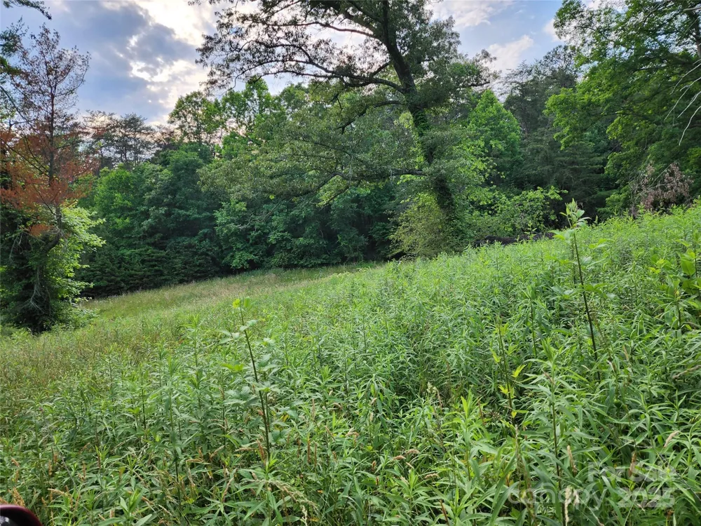 000 W US Highway 421 Highway Wilkesboro, NC 28697