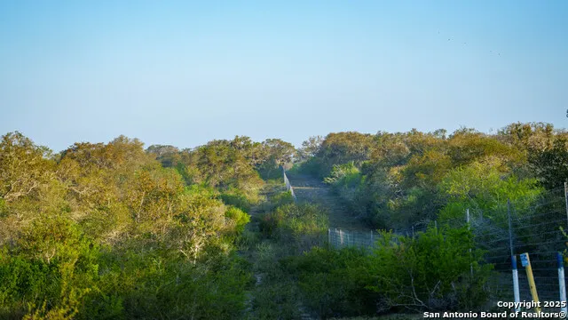 8440 State Highway 239 W Goliad, TX 77963