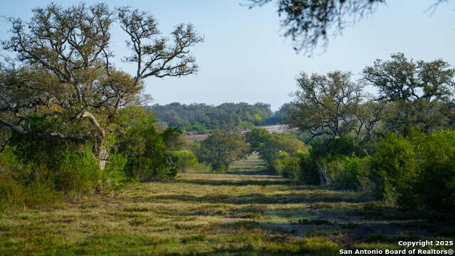 8440 State Highway 239 W Goliad, TX 77963