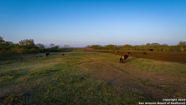 8440 State Highway 239 W Goliad, TX 77963