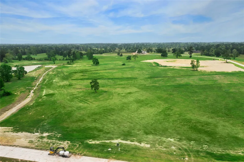 2307 Iris Cove Court Hockley, TX 77447