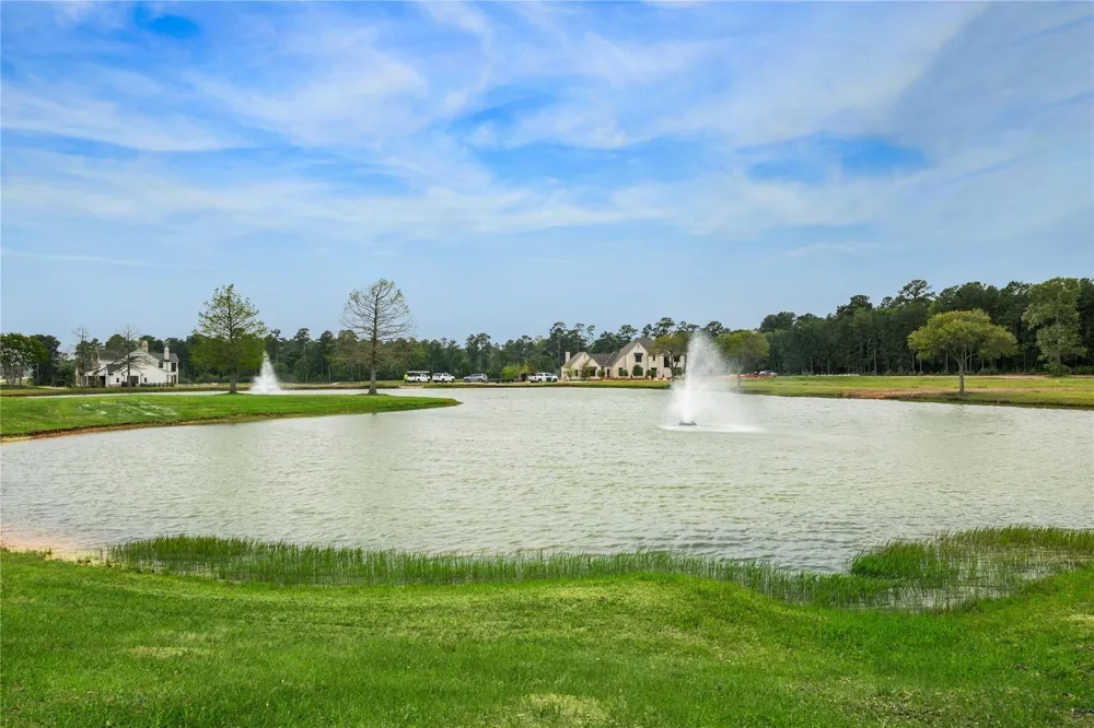 2307 Iris Cove Court Hockley, TX 77447