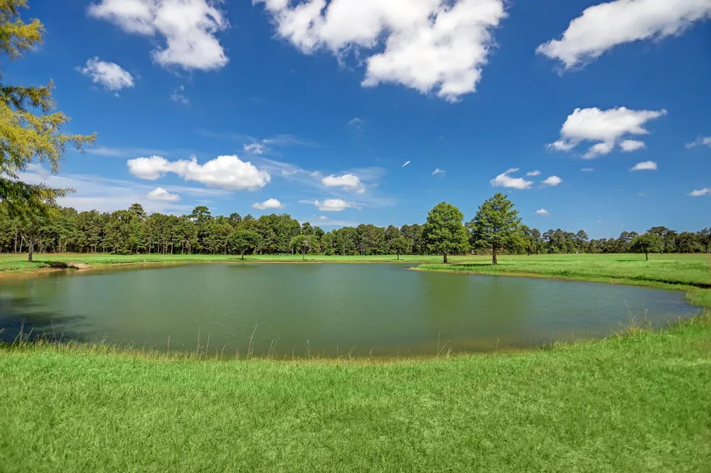 2307 Iris Cove Court Hockley, TX 77447