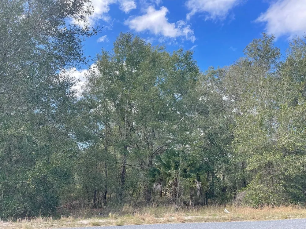 GRAYS AIRPORT ROAD Lady Lake, FL 32159