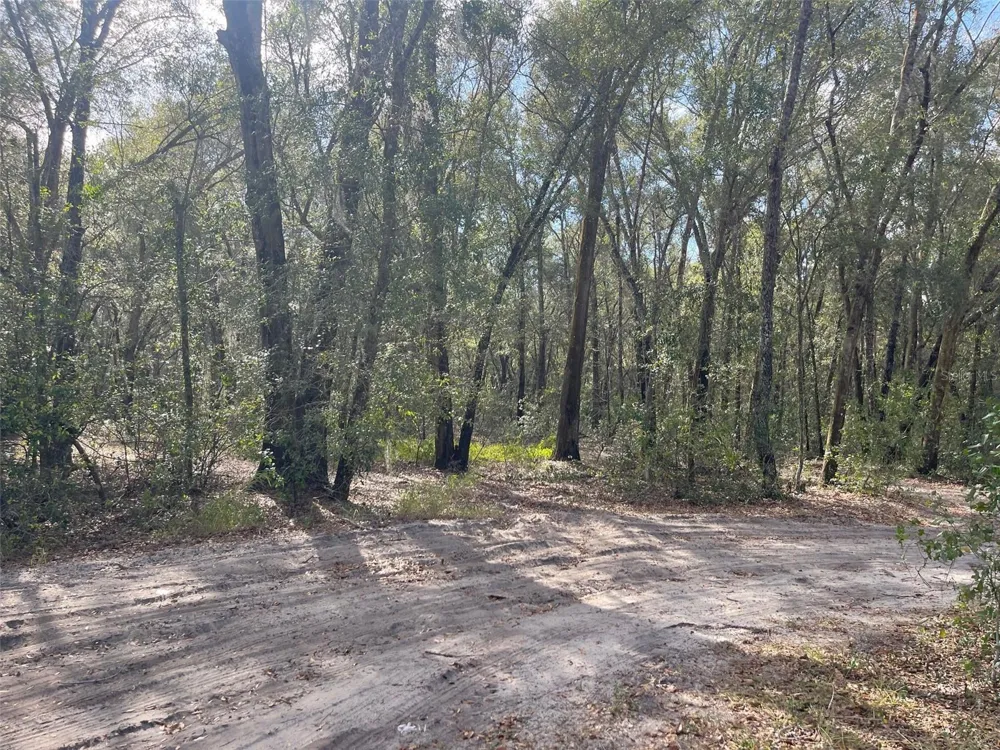 GRAYS AIRPORT ROAD Lady Lake, FL 32159