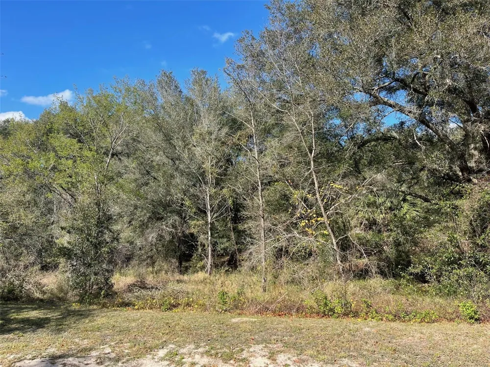 GRAYS AIRPORT ROAD Lady Lake, FL 32159