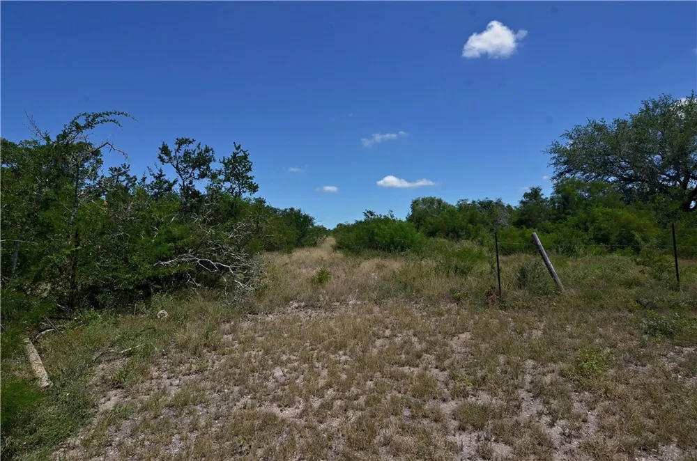 1641 Charco Beeville, TX 78102