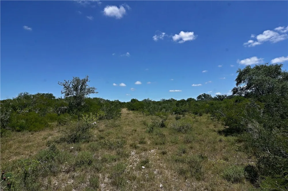 1641 Charco Beeville, TX 78102
