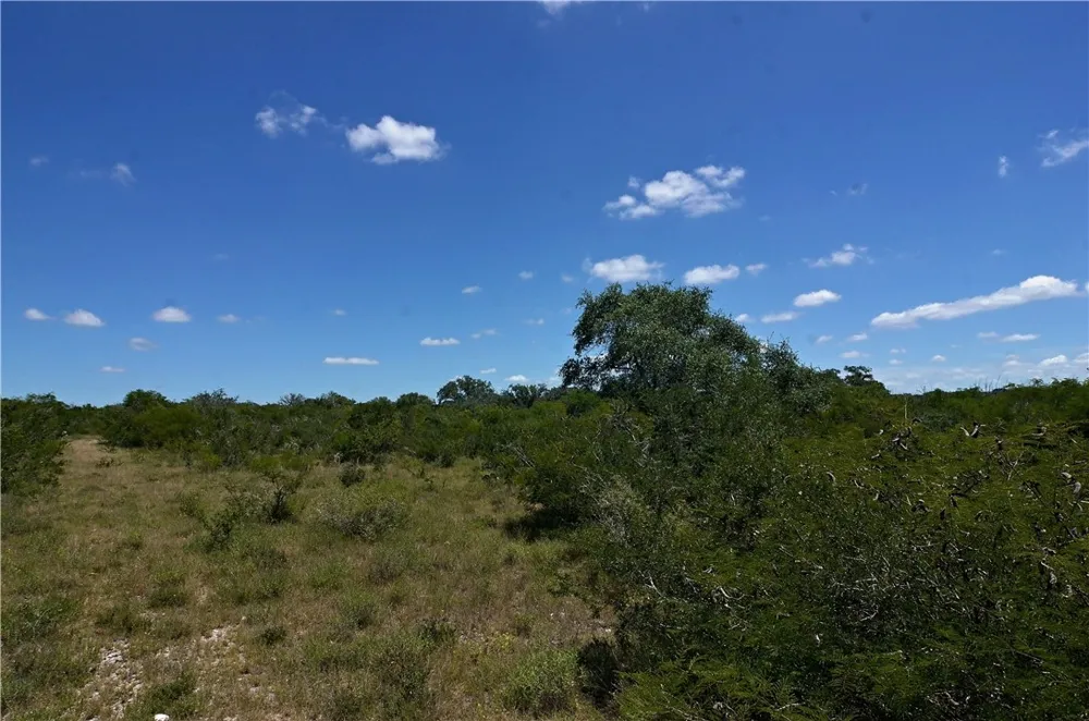 1641 Charco Beeville, TX 78102