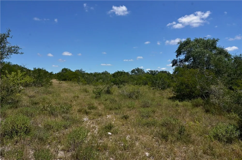 1641 Charco Beeville, TX 78102