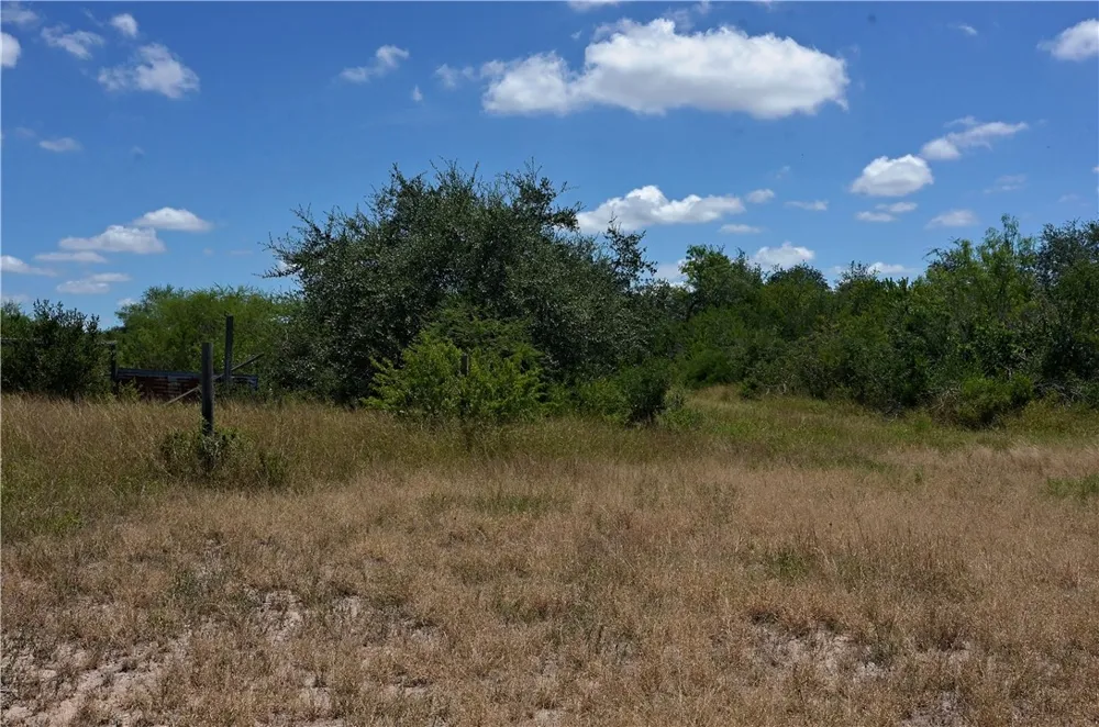 1641 Charco Beeville, TX 78102
