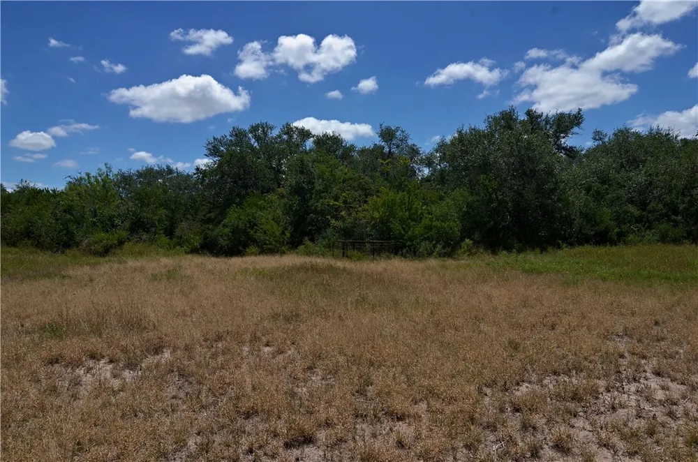 1641 Charco Beeville, TX 78102