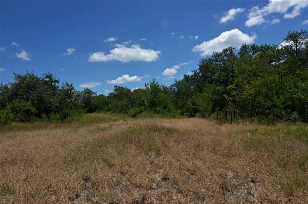 1641 Charco Beeville, TX 78102