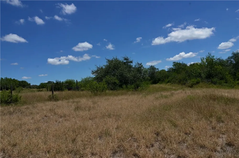 1641 Charco Beeville, TX 78102
