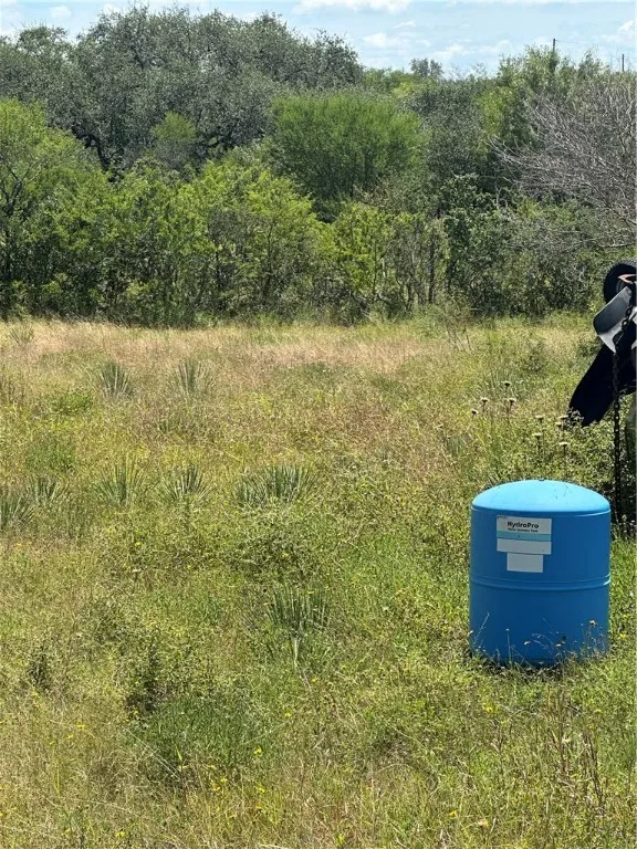 1641 Charco Beeville, TX 78102
