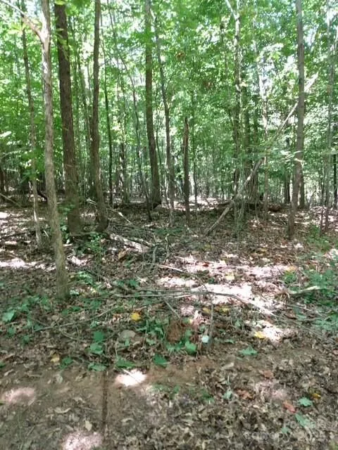 0 Winter Park Drive Shelby, NC 28152