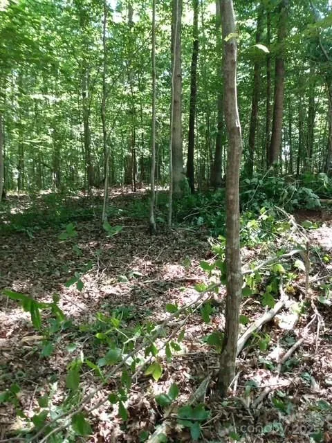 0 Winter Park Drive Shelby, NC 28152