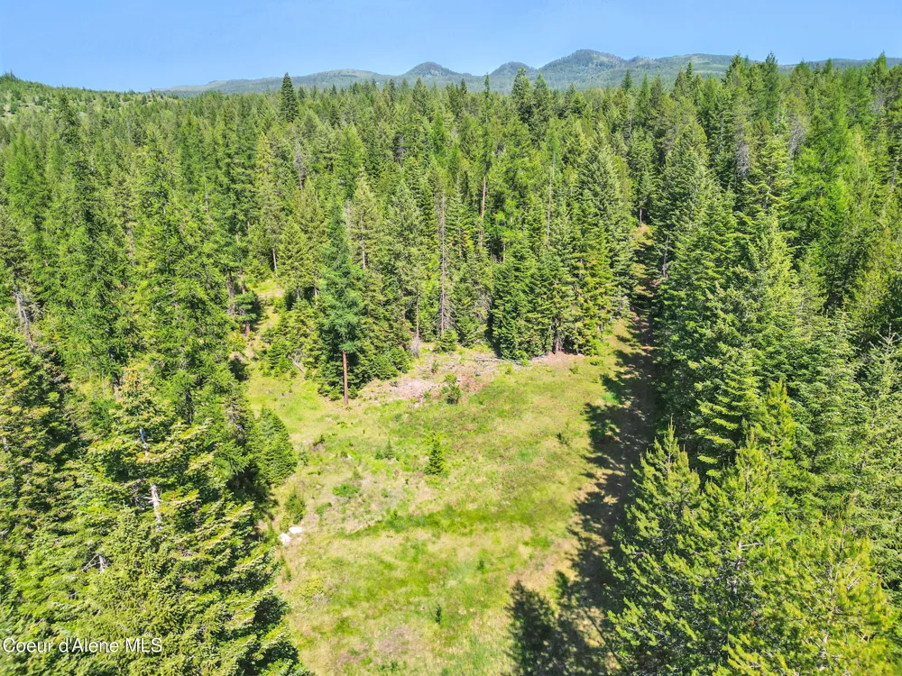670 Sunset Road Athol, ID 83801