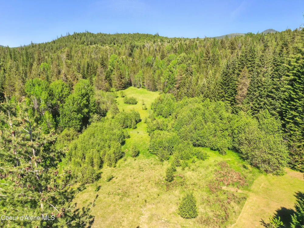 670 Sunset Road Athol, ID 83801