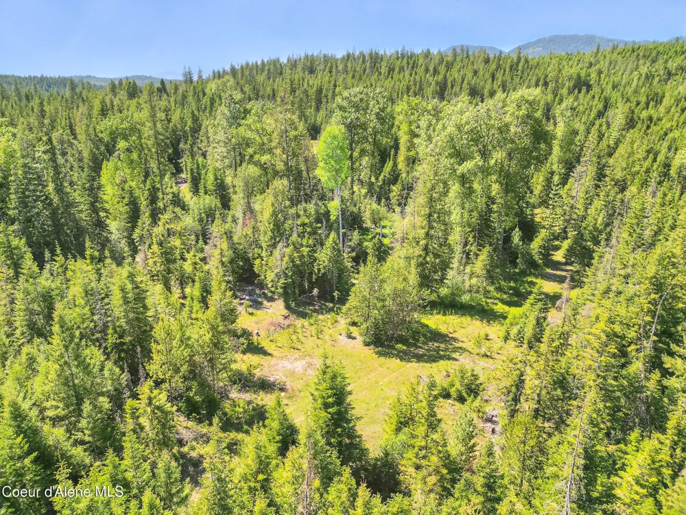 670 Sunset Road Athol, ID 83801