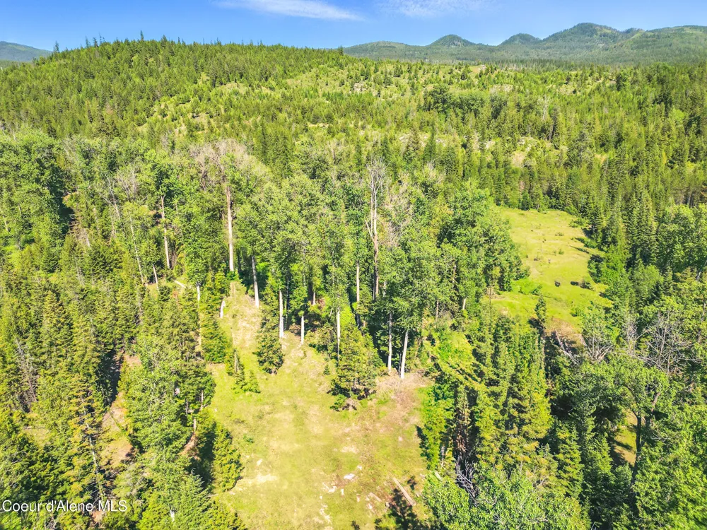 670 Sunset Road Athol, ID 83801