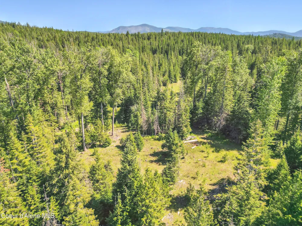 670 Sunset Road Athol, ID 83801