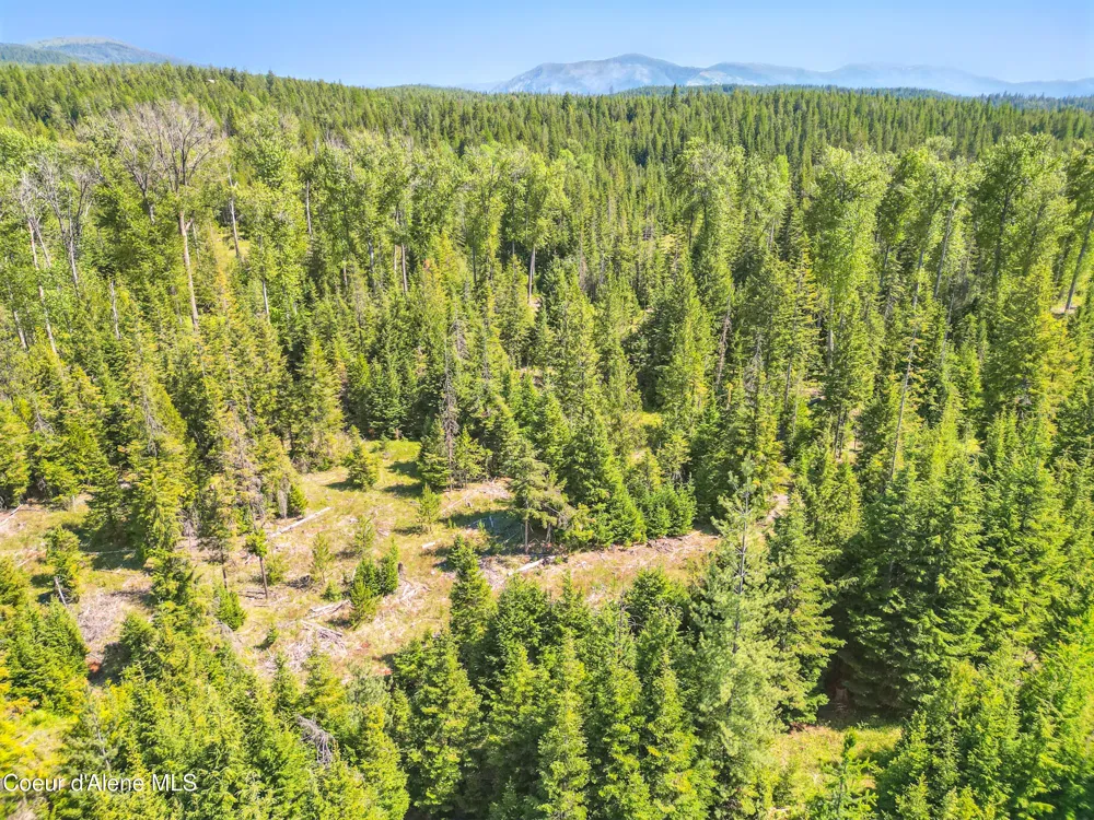 670 Sunset Road Athol, ID 83801
