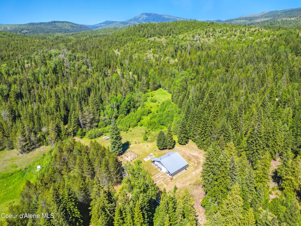 670 Sunset Road Athol, ID 83801