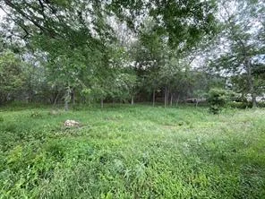 204 Crest Drive