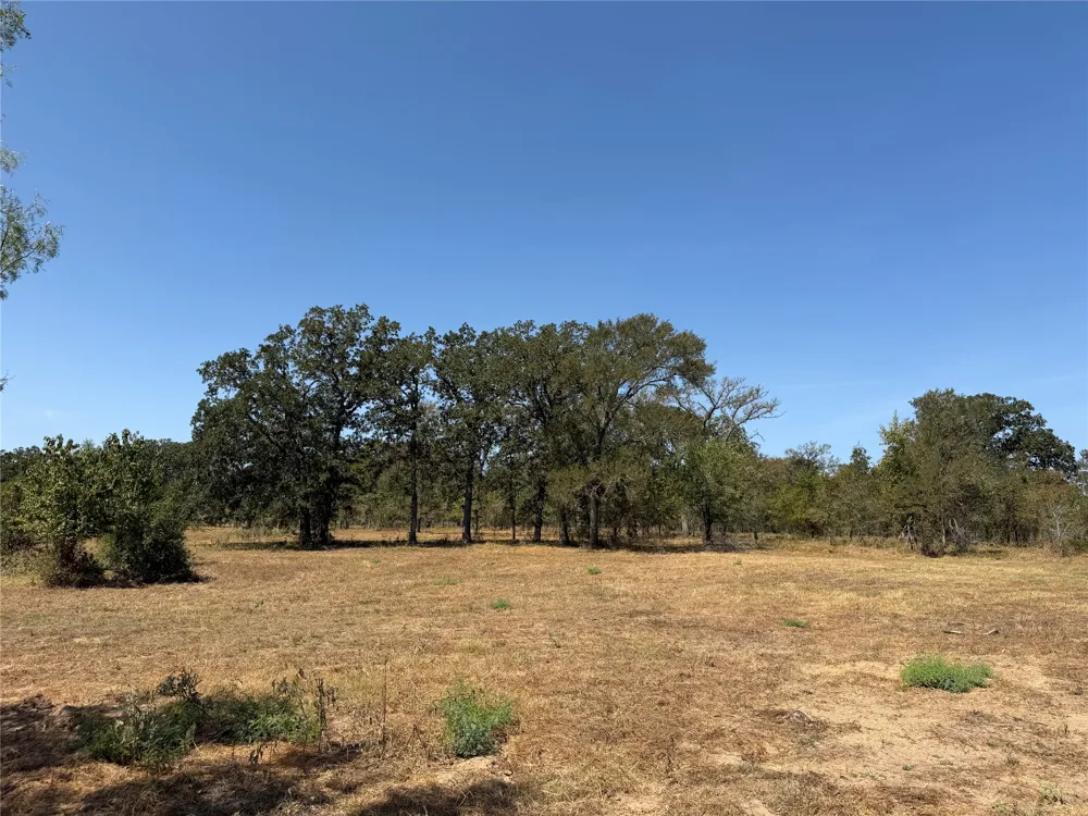 2 Willis Lane Smithville, TX 78957