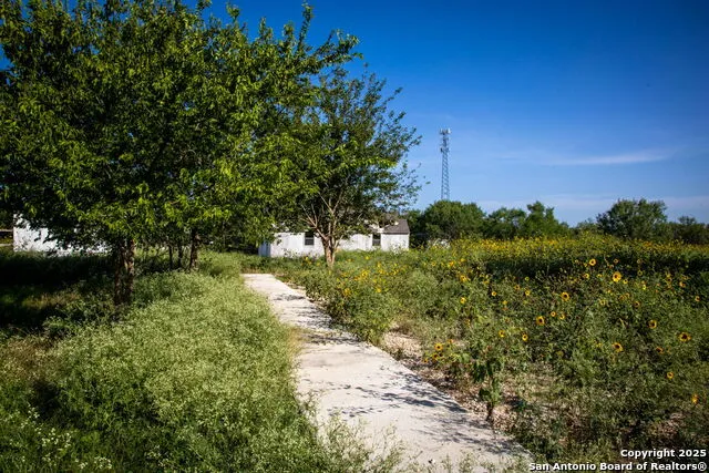 308 Alysia New Braunfels, TX 78130