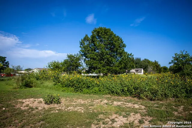 308 Alysia New Braunfels, TX 78130