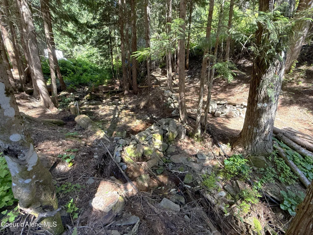 10ac S LATOUR CREEK ROAD Cataldo, ID 83810