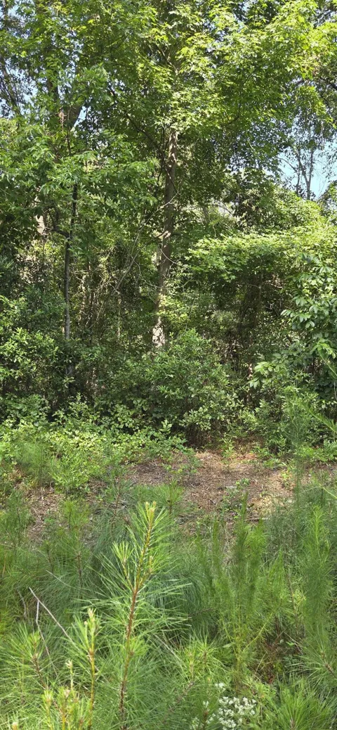 Cherokee Drive