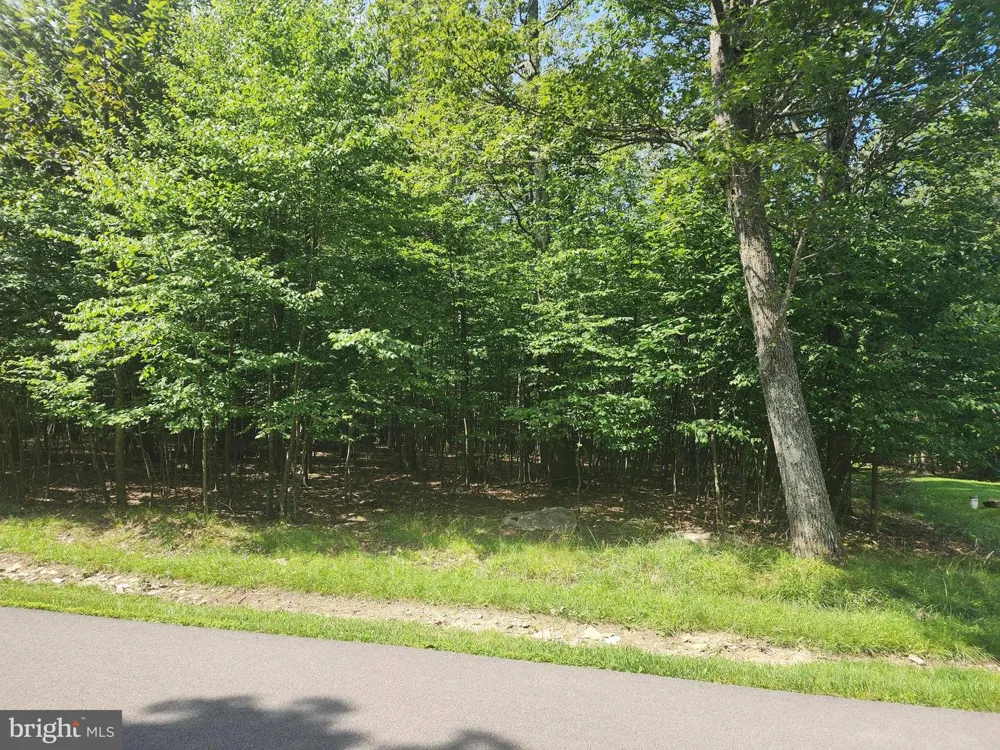 MOUNTAINVIEW DRIVE Oakland, MD 21550