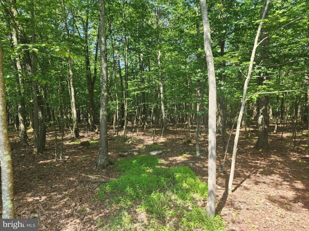 MOUNTAINVIEW DRIVE Oakland, MD 21550