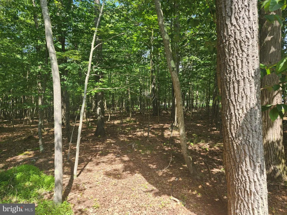 MOUNTAINVIEW DRIVE Oakland, MD 21550