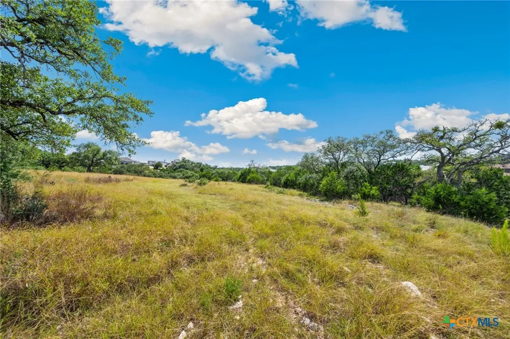 428 Cavy Road New Braunfels, TX 78132