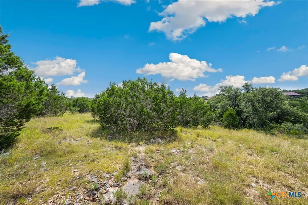 428 Cavy Road New Braunfels, TX 78132