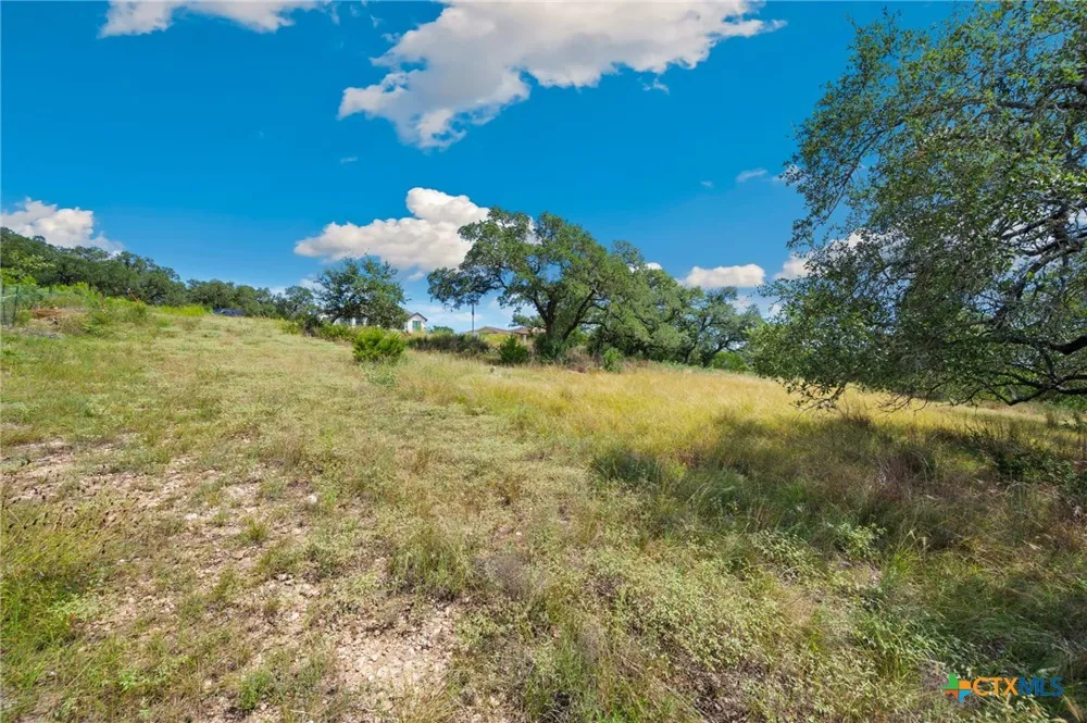 428 Cavy Road New Braunfels, TX 78132