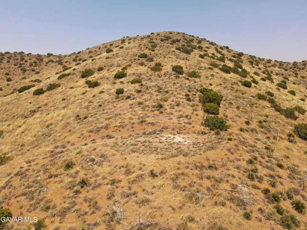 Valleysage Road Agua Dulce, CA 91390