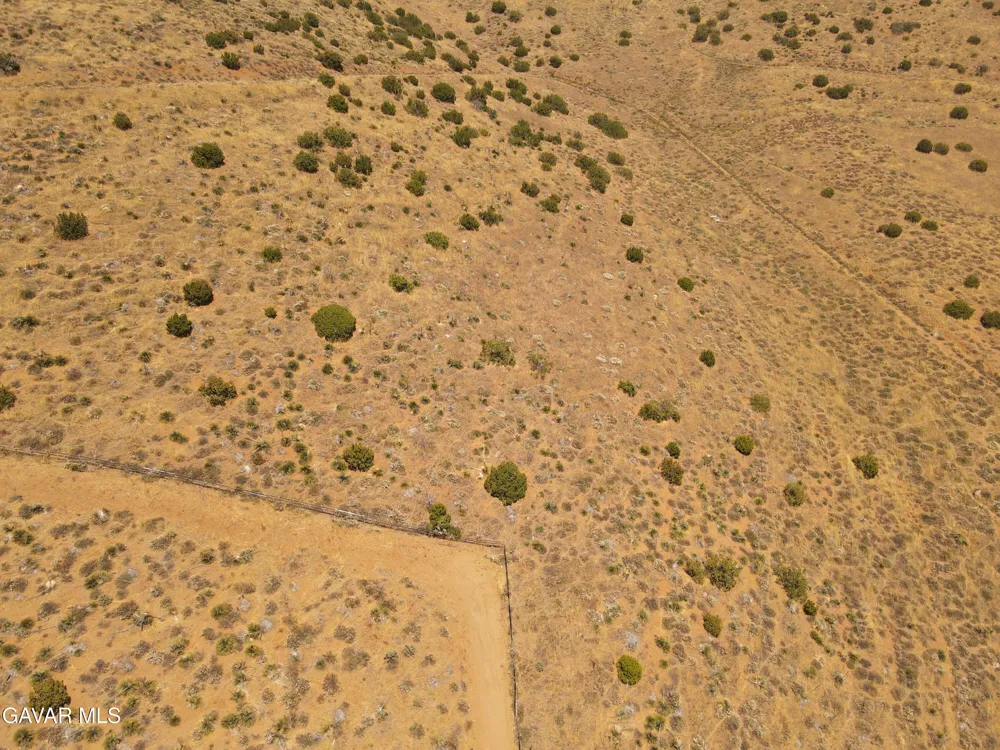 Valleysage Road Agua Dulce, CA 91390