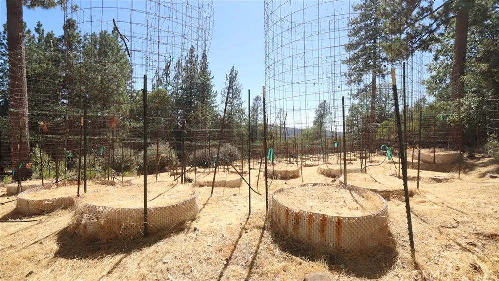 11444 Bottle Rock Road Kelseyville, CA 95451