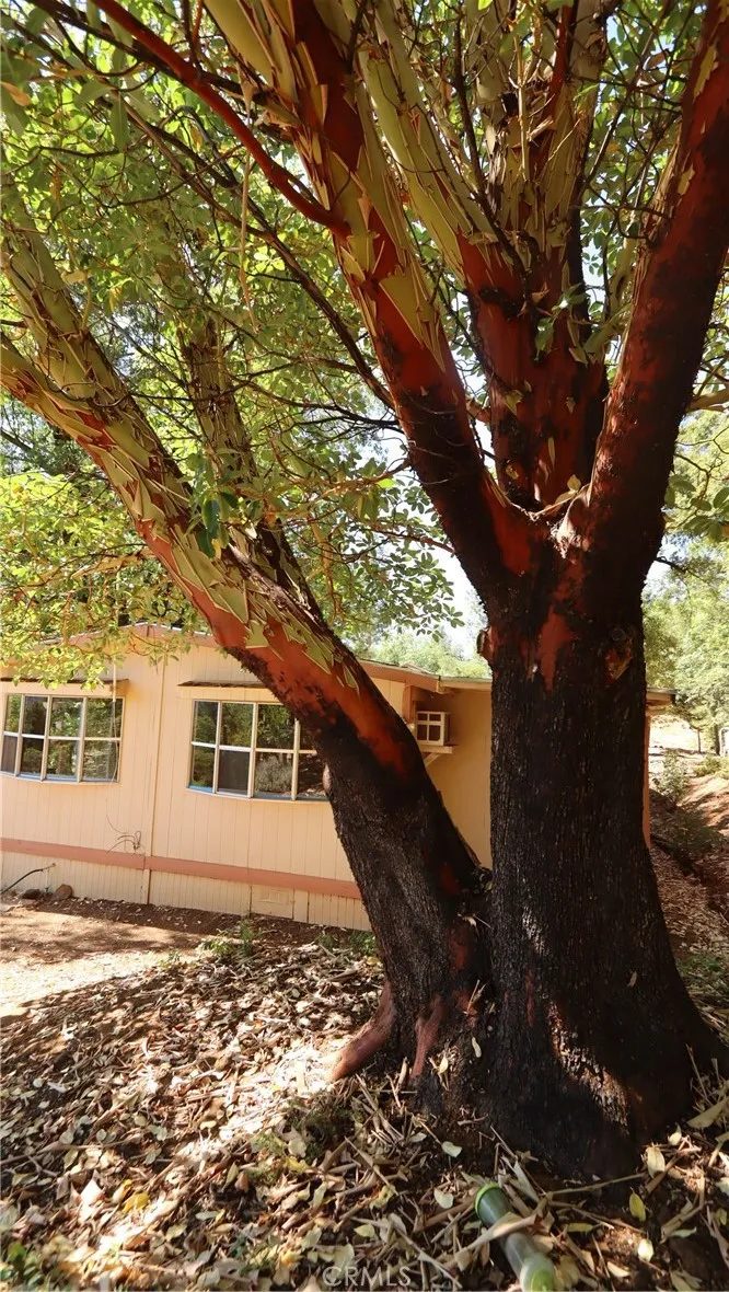 11444 Bottle Rock Road Kelseyville, CA 95451