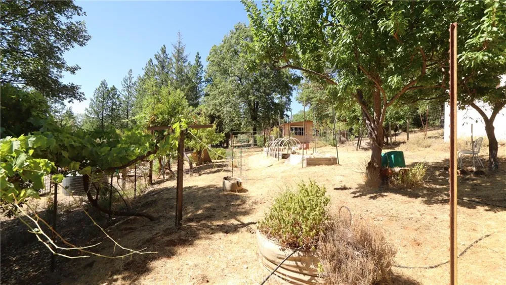 11444 Bottle Rock Road Kelseyville, CA 95451