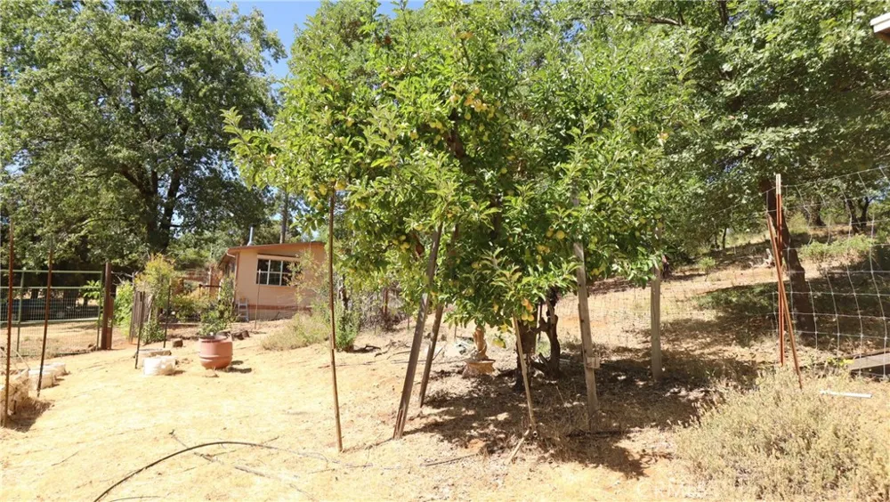 11444 Bottle Rock Road Kelseyville, CA 95451